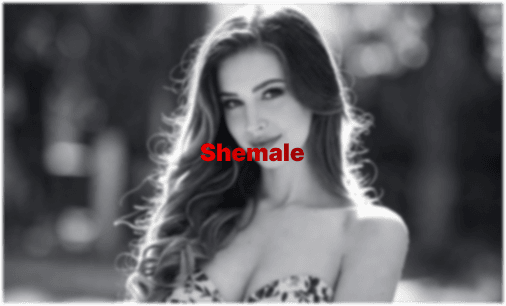 Porno Shemale y Trans: La Guía Completa del Espectador